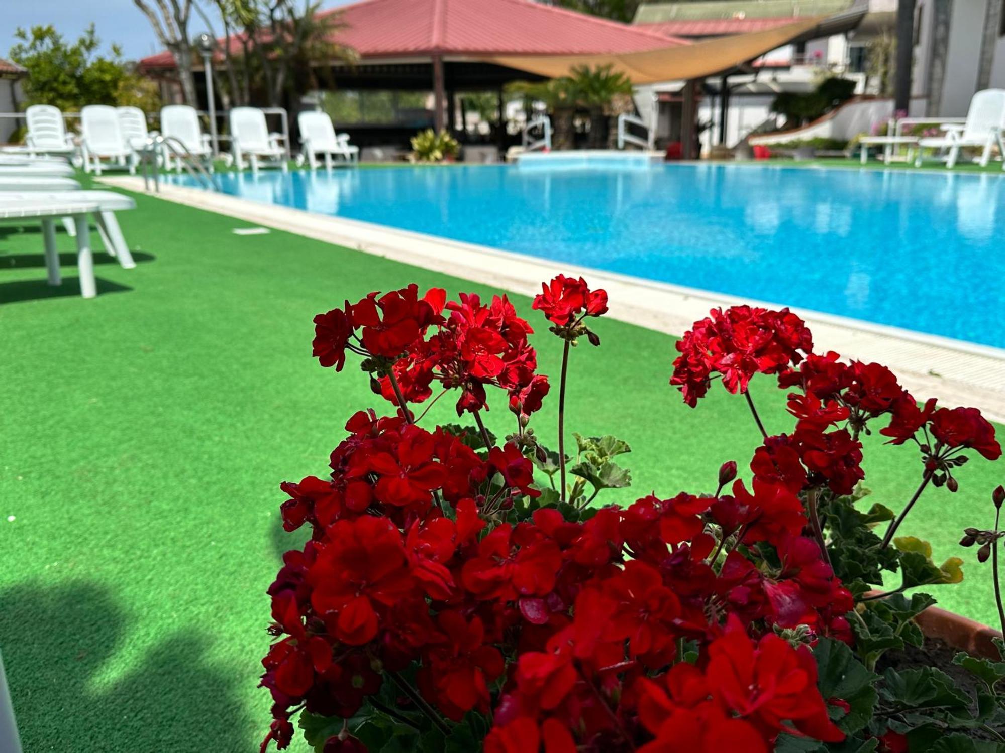 Hotel B&B Marina كاباتشو - بايستوم المظهر الخارجي الصورة