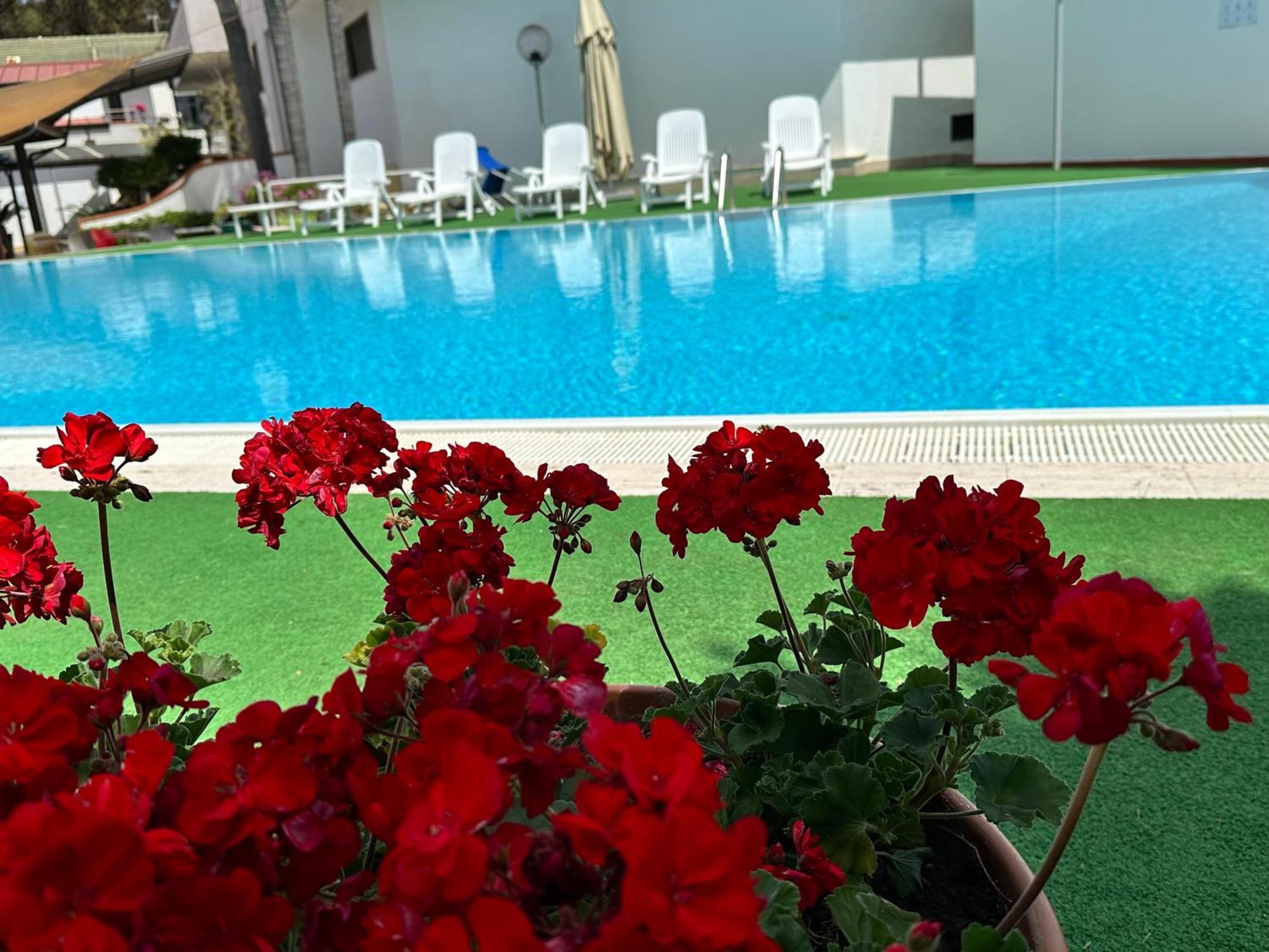 Hotel B&B Marina كاباتشو - بايستوم المظهر الخارجي الصورة