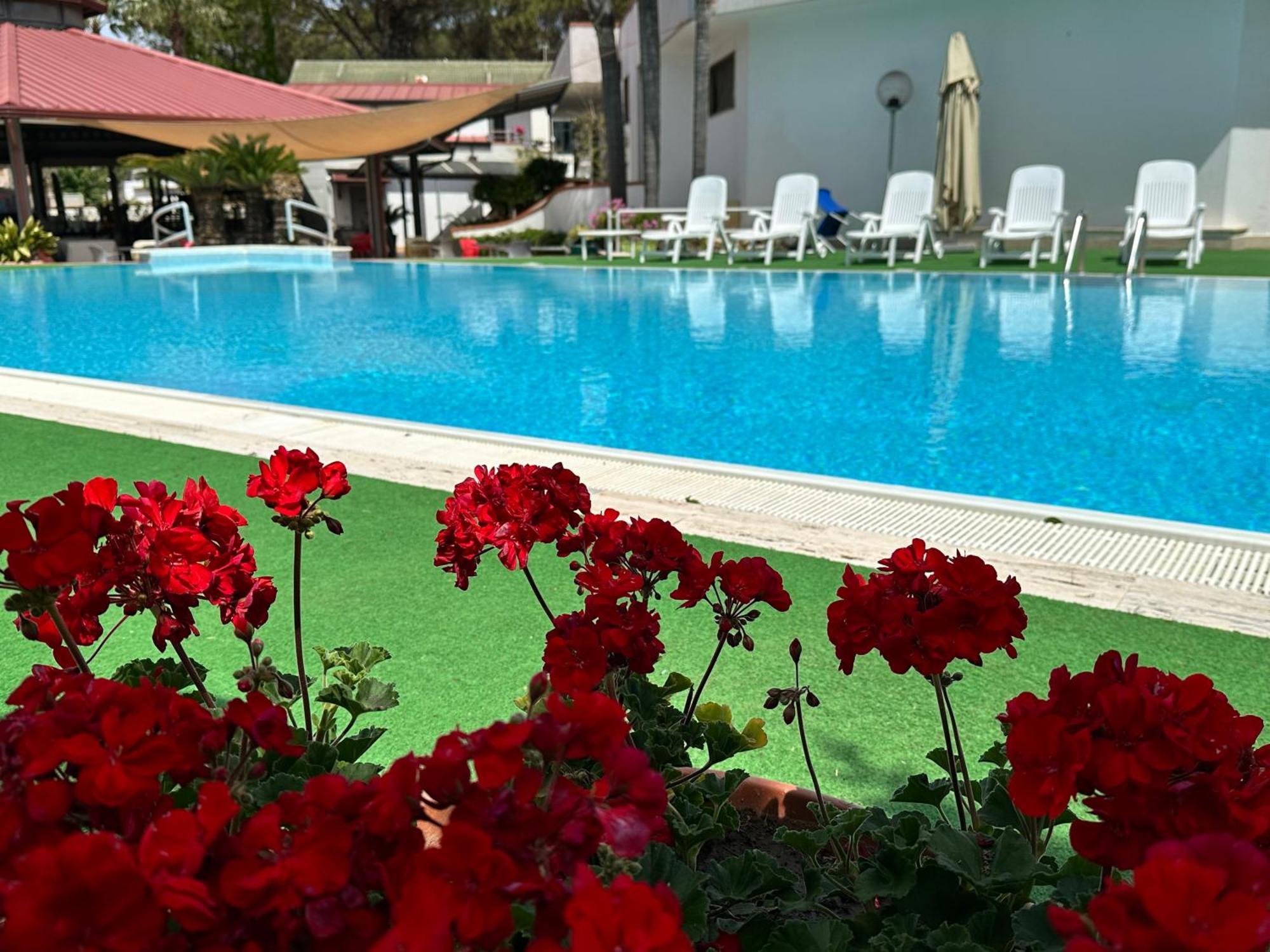 Hotel B&B Marina كاباتشو - بايستوم المظهر الخارجي الصورة